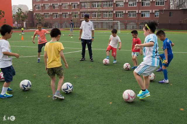 CBA常规赛数据：孙铭徽三项第一 杨瀚森盖帽王